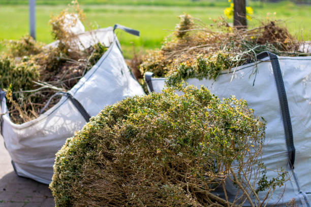 Best Basement Cleanout Services  in Dillonvale, OH